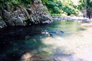 大岩魚泳ぐ渓・水の中を覗く池田
