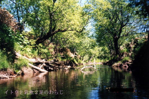 チライの川