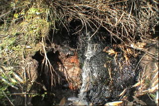 原野の泉・チライ・オビラメの水・幻のイトウを育む水