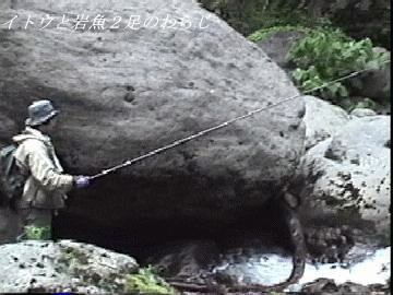 巨岩帯にて・大岩魚