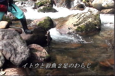 大岩魚を釣る・西川さん